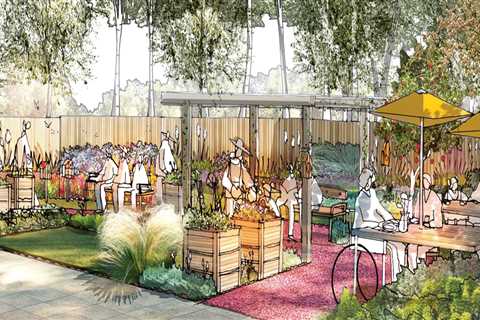 Exploring Natural and Organic Options in Medical Aesthetics