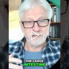 Colon Swelling: When Your Gut Gets Excited #shorts