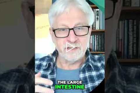 Colon Swelling: When Your Gut Gets Excited #shorts