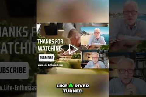 Rebuilding Vitality Brick by Brick #shorts